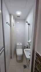 Oasis @ Elias (D18), Condominium #599673931